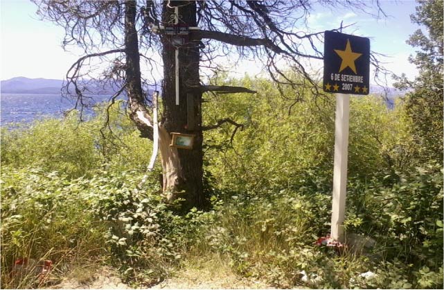 Estrella amarilla en Bariloche - Foto de María de las Nieves MOLDES